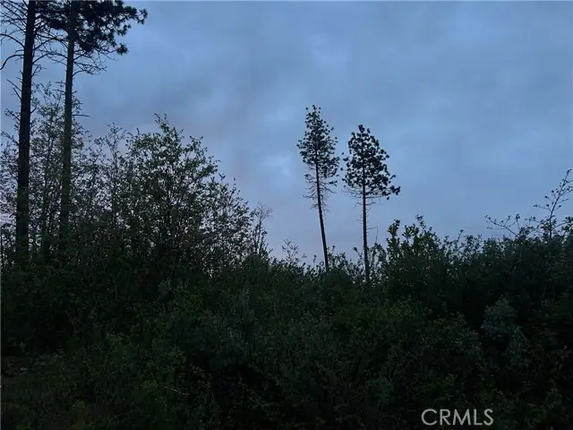 1 Hog Ranch Road, Concow, CA 94965 - Image #3