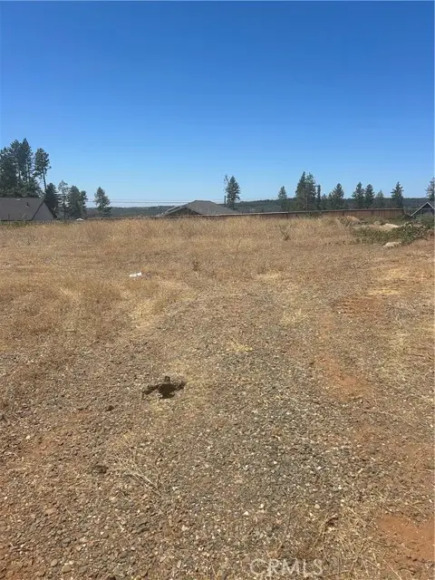 8675 Skyway, Paradise, CA 95969 - #1