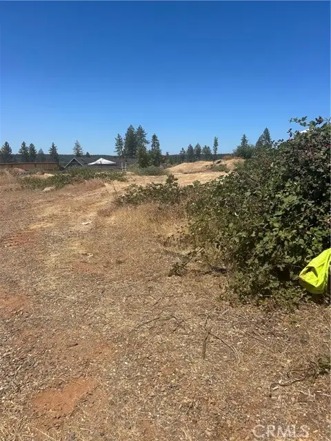 8675 Skyway, Paradise, CA 95969 - #2