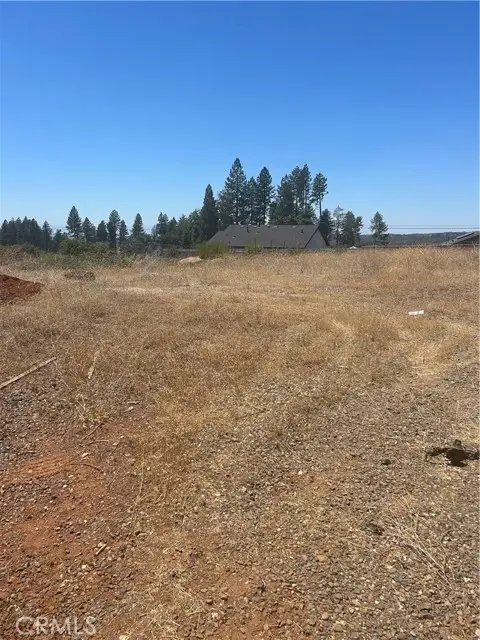 8675 Skyway, Paradise, CA 95969 - #3