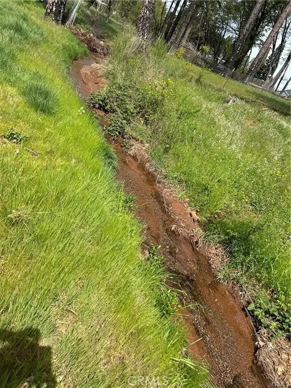 1616 Walnut Lane, Paradise, CA 95969 - #2