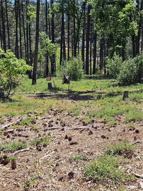 0 Boeta Court, Paradise, CA 95969 - Image #3