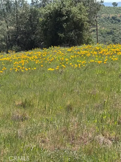 0 Round Valley Ranch, Paradise, CA 95969