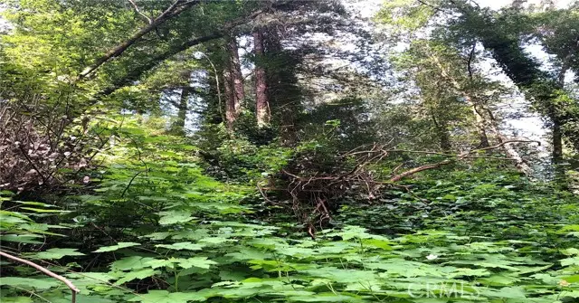 18176 Hwy 116, Guerneville, CA 95446 - #1