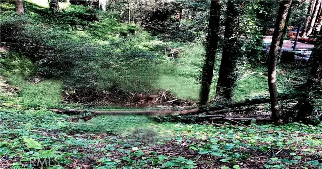 18176 Hwy 116, Guerneville, CA 95446 - #2