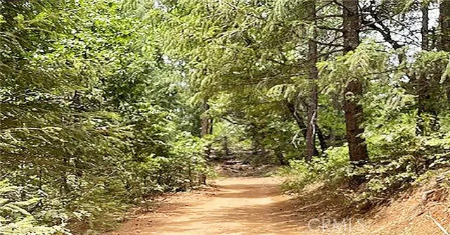 15052 Red Hill Spring Road, Nevada City, CA 95959 - #1