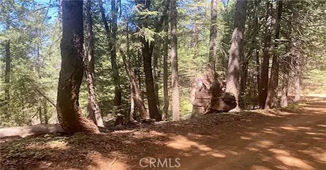 15052 Red Hill Spring Road, Nevada City, CA 95959 - #2