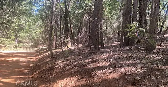 15052 Red Hill Spring Road, Nevada City, CA 95959 - #3