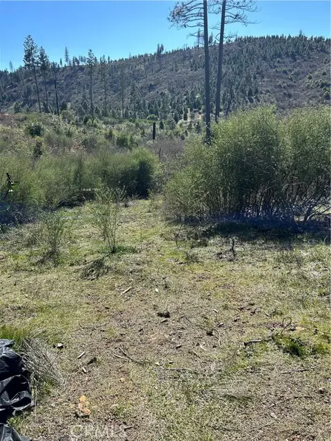 1234 Hog Ranch Rd, Oroville, CA 95965 - #1