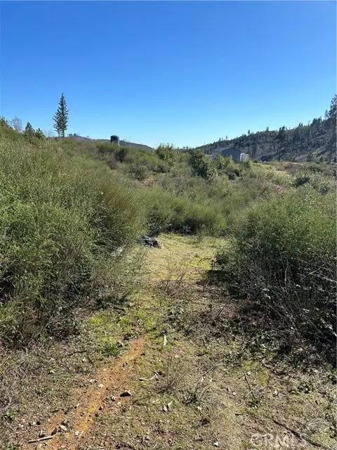 1234 Hog Ranch Rd, Oroville, CA 95965 - #3