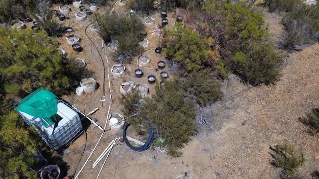 46400 Terwilliger Road, Anza, CA 92539 - #3