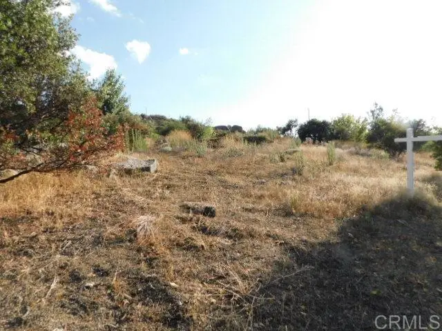 29949 Canadian Honker Road, Campo, CA 91906 - #1