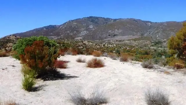 37245 Old Forest Road, Anza, CA 92539 - Image #3