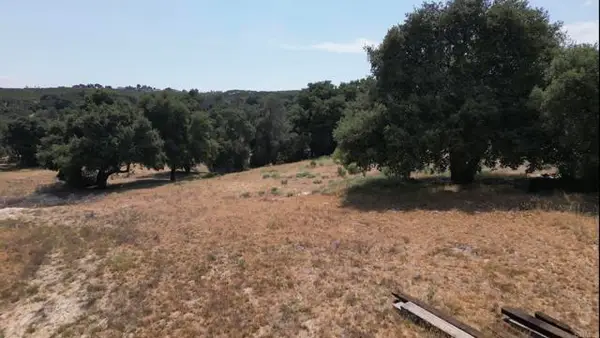 Avenida De Robles Verdes, Boulevard, CA 91905