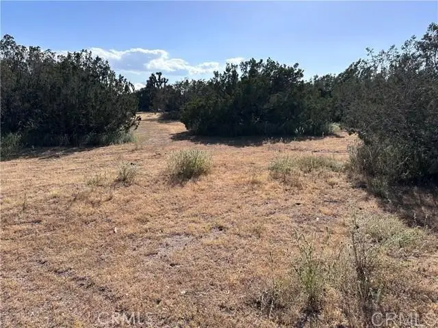 Daisy Road, Oak Hills, CA 92344 - Image #2