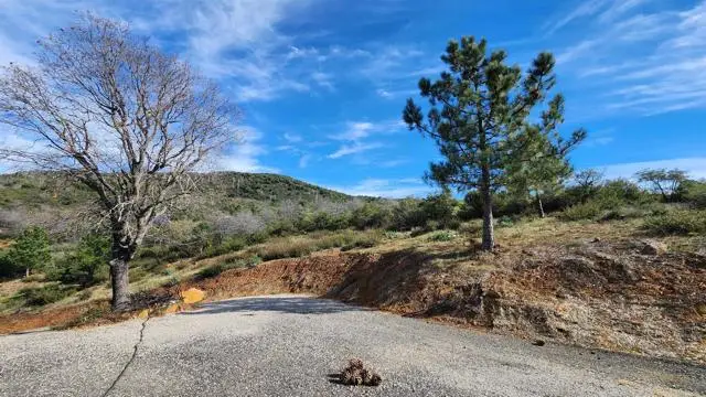 5566 Acorn Patch Rd., Julian, CA 92036 - #3