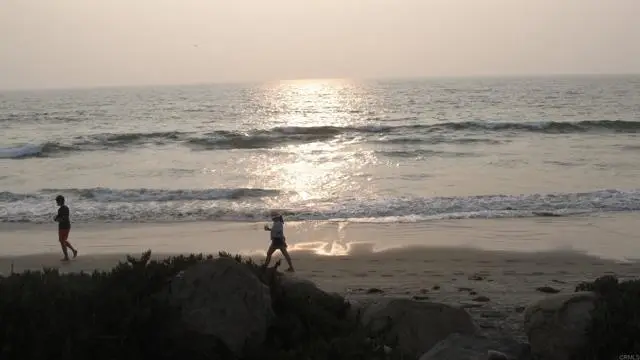 1460 Seacoast, Imperial Beach, CA 91932 - #3