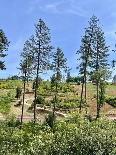 1975 Stearns Road, Paradise, CA 95969 - #2