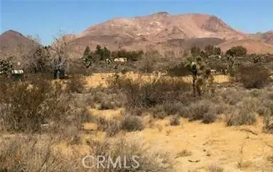7494 Mojave Tropico Rd, Mojave, CA 93501 - #3