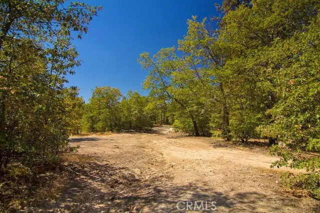 0 N Bay Road, Lake Arrowhead, CA 92352 - #1