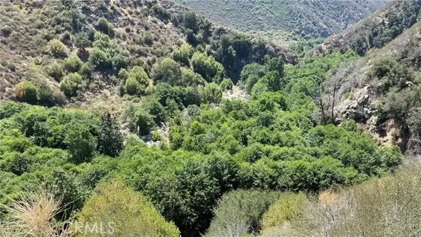 14 Tract 6864, Mt Baldy, CA 91759