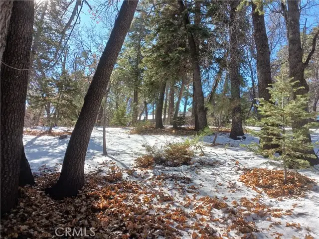0 Columbine Drive, Big Bear City, CA 92314 - #2