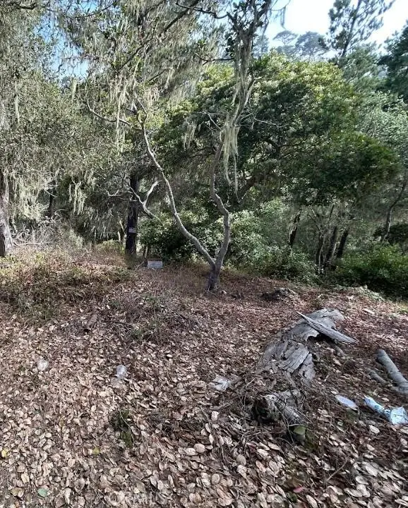 2812 Ramsey Road, Cambria, CA 93428 - Image #1