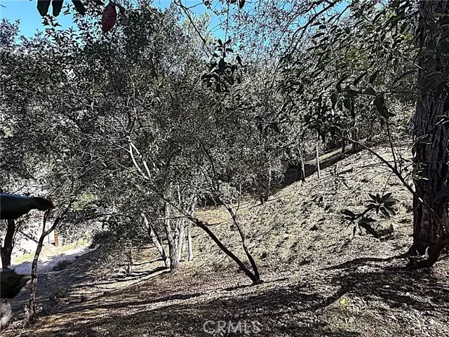 0 High Cliff Trail, Tujunga, CA 91042 - #1