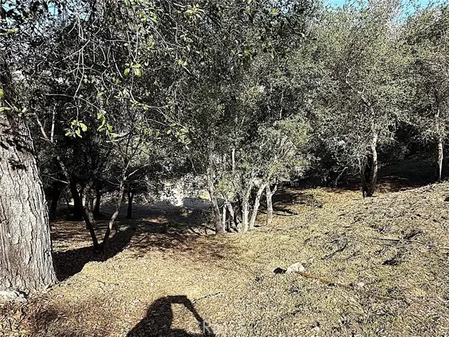0 High Cliff Trail, Tujunga, CA 91042 - #2