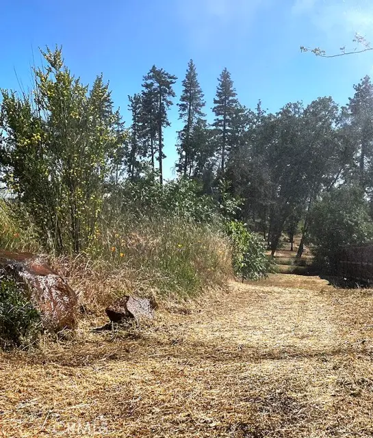 1318 Pearson Road, Paradise, CA 95969