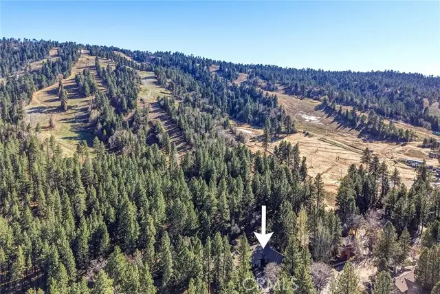 41935 Switzerland, Big Bear Lake, CA 92315 - #1
