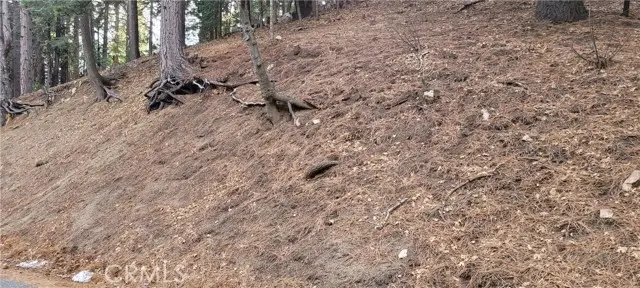 0 Spring Oak Drive, Running Springs, CA 92382 - Image #1