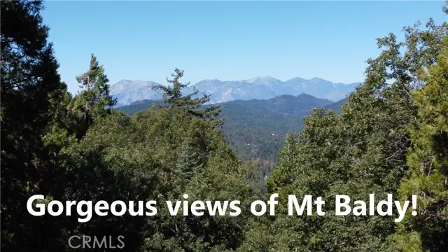 0 North Road, Twin Peaks, CA 92391 - Image #3