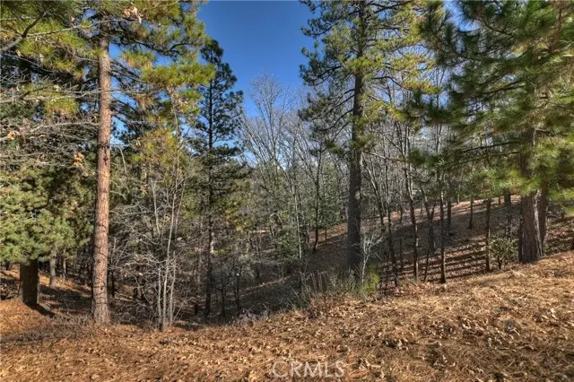 0 Lucerne Lane, Lake Arrowhead, CA 92352 - Image #3