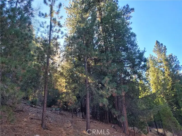 0 Brentwood Drive, Lake Arrowhead, CA 92352 - #1
