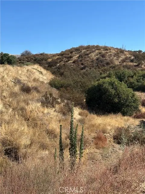 0 Koontz Road, Agua Dulce, CA 91390