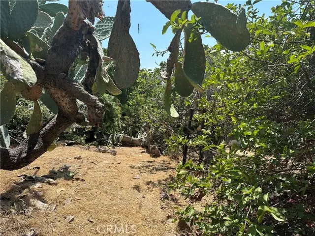 1941 Delta St., Los Angeles, CA 90026 - #2