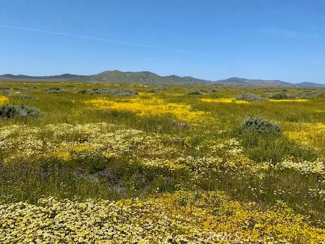 0 Bonsall Road, Santa Margarita, CA 93453 - Image #2