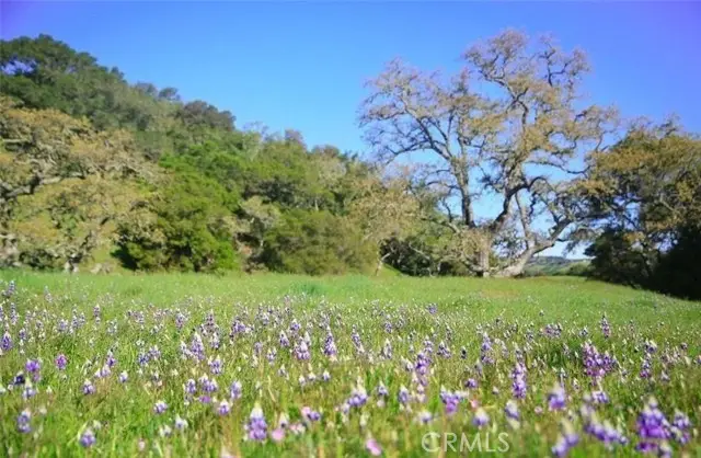 0 Old Creek Road, Cayucos, CA 93430 - #3