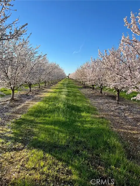 22085 Finnell, Corning, CA 96021 - #3