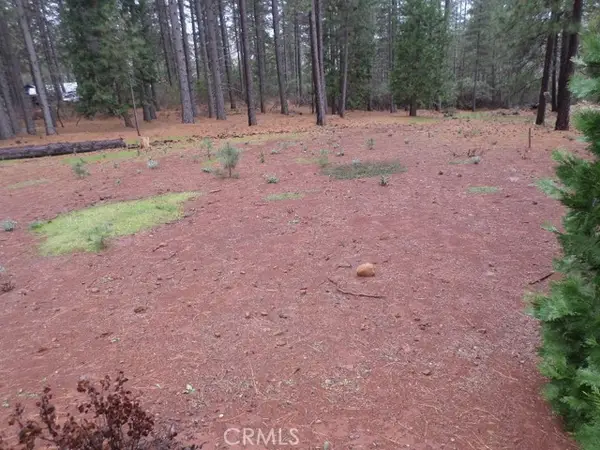 0 Mendocino Way, Cohasset, CA 95973