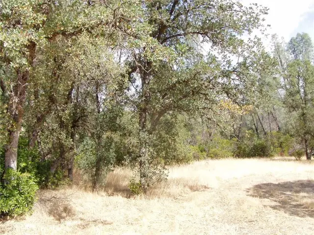 15838 El Dorado Drive, Corning, CA 96021 - #3