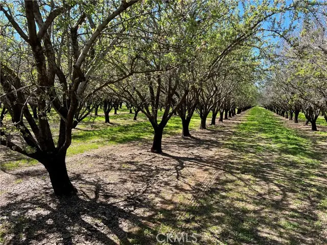 0 Cana Highway, Chico, CA 95973 - Image #1