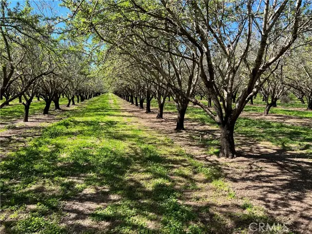 0 Cana Highway, Chico, CA 95973 - Image #3