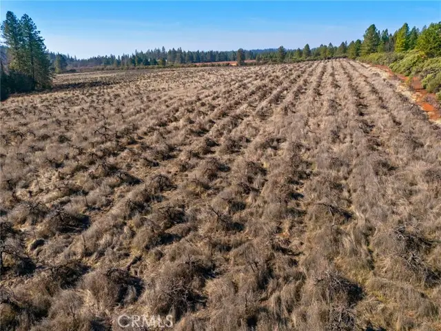 0 Doe Mill Road, Forest Ranch, CA 95942 - Image #3