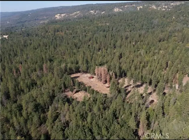 5901 Manton Ponderosa Way, Manton, CA 96059 - Image #2