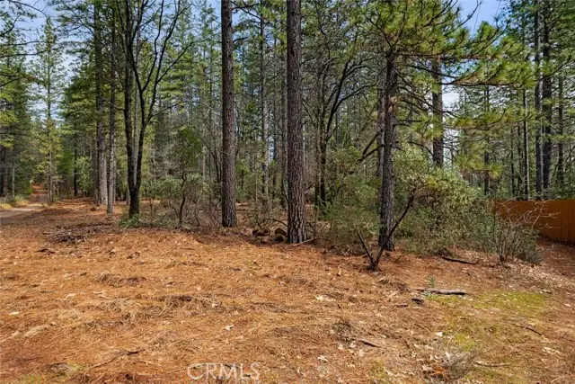 0 Doe Mill Road, Forest Ranch, CA 95942 - Image #1