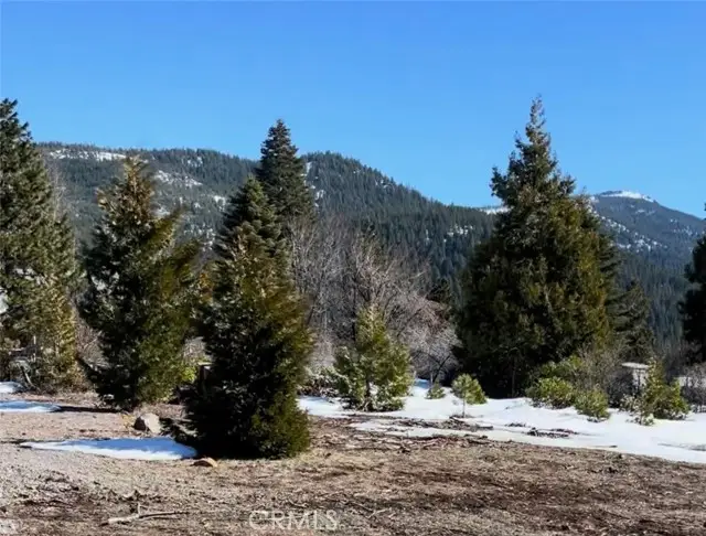 3333 Cedar Lane, Lake Almanor, CA 96137 - #2
