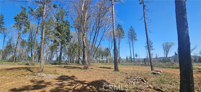 0 Skyway, Forest Ranch, CA 95954 - Image #2