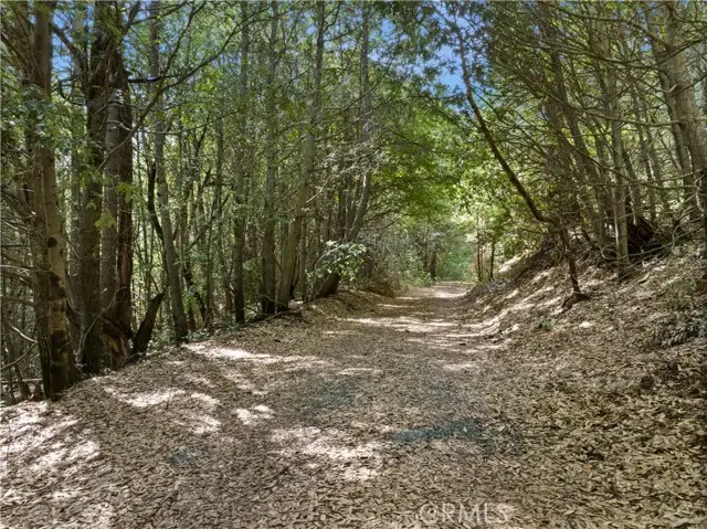 63 Binet Road, Clipper Mills, CA 95930 - Image #1